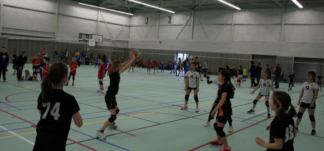 Volleybal Volleybal