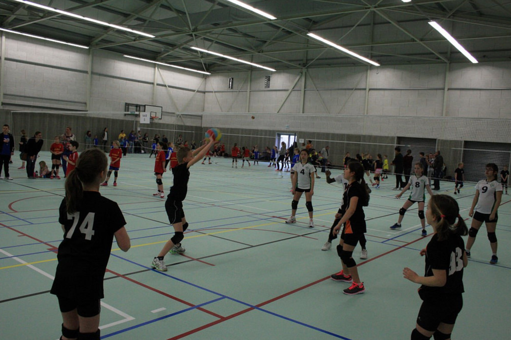 Volleybal