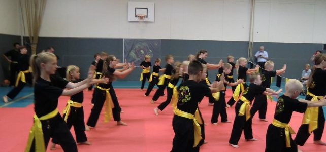 Pencak Silat Pencak Silat
